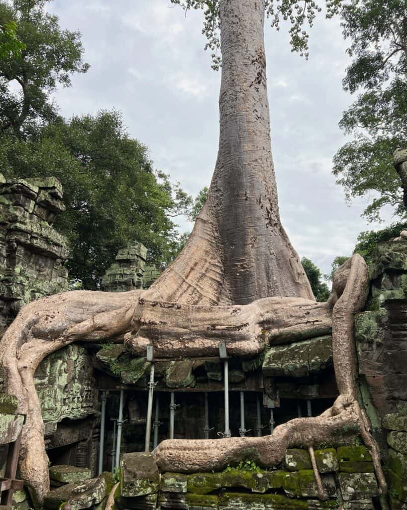 Rural landscape near temples