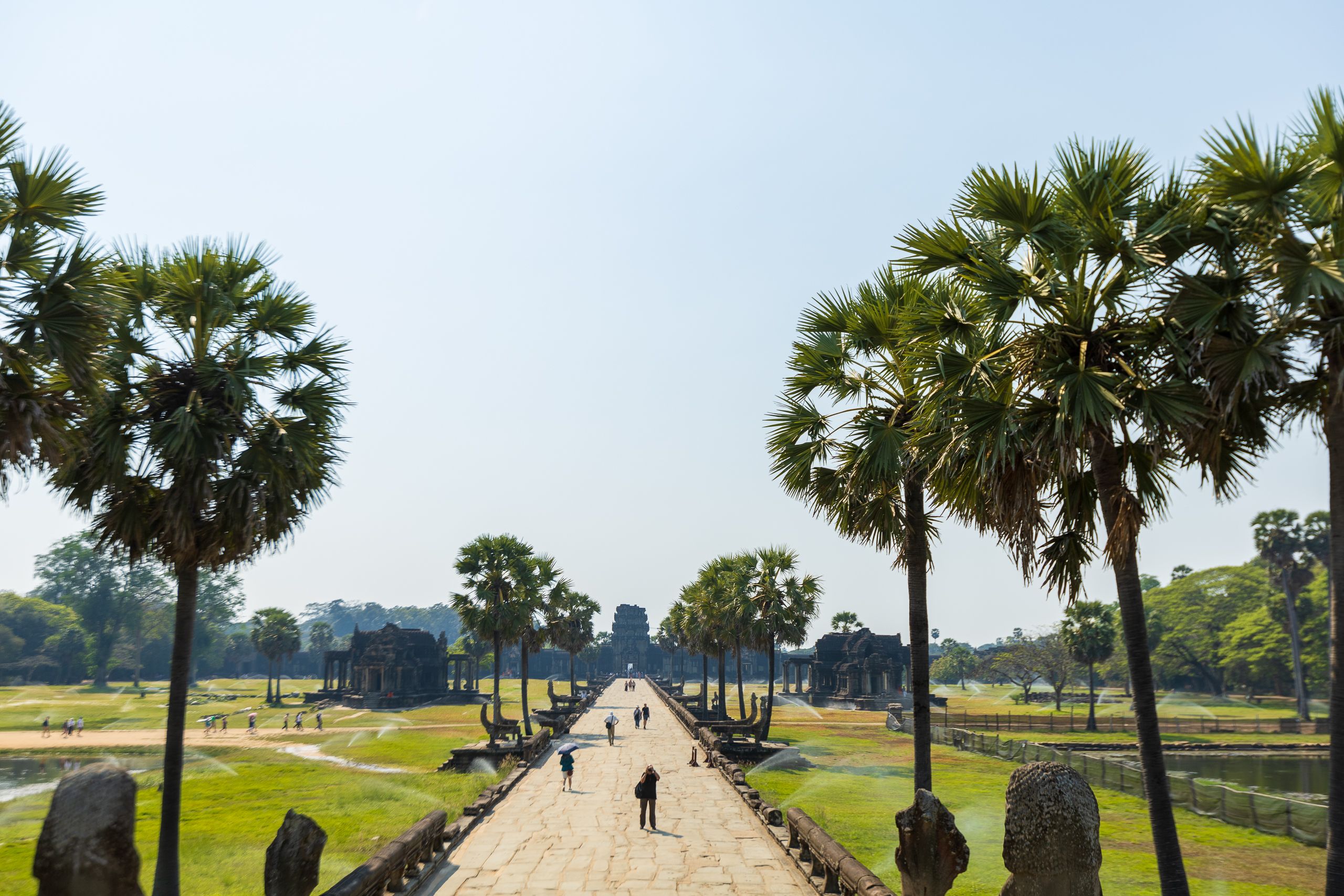 ផ្លូវឆ្លងកាត់ដ៏ស្រស់ស្អាតទៅ Angkor Wat បុរាណដែលមាន​ដើម​ដូង​សដ្ឋង​ក្រោម​ឋានសួគ៌맑은
